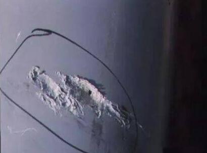 1704243844333273.jpg 13_f98l.jpg