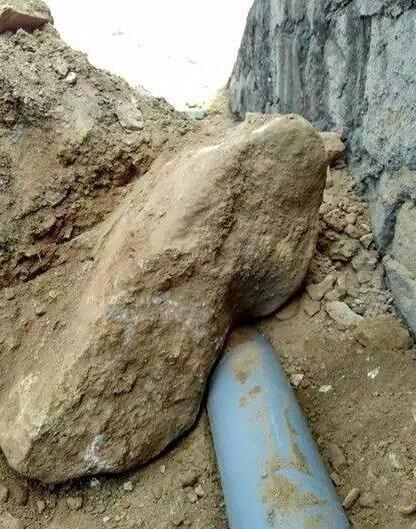 1704243962103870.jpg 18_ozln.jpg