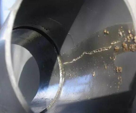 1704244042750904.jpg 21 (1).jpg